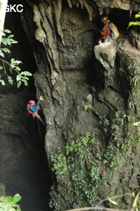 Grotte de Laoyingdong 老鹰洞 (Suiyang 绥阳, Zunyi 遵义市, Guizhou 贵州省, Chine 中国).