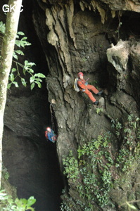 Dans le puits d'entrée de la grotte-perte de Laoyingdong 老鹰洞 (Suiyang 绥阳, Zunyi 遵义市, Guizhou 贵州省, Chine 中国).