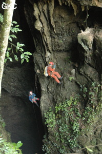 Dans le puits d'entrée de la grotte-perte de Laoyingdong 老鹰洞 (Suiyang 绥阳, Zunyi 遵义市, Guizhou 贵州省, Chine 中国).