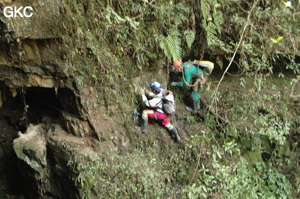 Grotte de Laoyingdong 老鹰洞 (Suiyang 绥阳, Zunyi 遵义市, Guizhou 贵州省, Chine 中国).