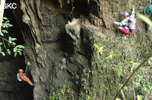 Grotte de Laoyingdong 老鹰洞 (Suiyang 绥阳, Zunyi 遵义市, Guizhou 贵州省, Chine 中国).