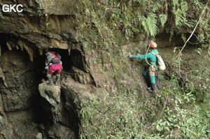 Grotte de Laoyingdong 老鹰洞 (Suiyang 绥阳, Zunyi 遵义市, Guizhou 贵州省, Chine 中国).