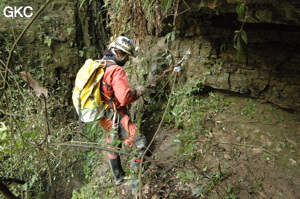 Grotte de Laoyingdong 老鹰洞 (Suiyang 绥阳, Zunyi 遵义市, Guizhou 贵州省, Chine 中国).