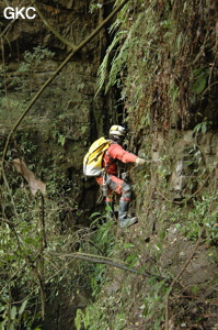 Grotte de Laoyingdong 老鹰洞 (Suiyang 绥阳, Zunyi 遵义市, Guizhou 贵州省, Chine 中国).