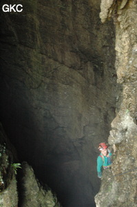 Dans le puits d'entrée de la grotte-perte de Laoyingdong 老鹰洞 (Suiyang 绥阳, Zunyi 遵义市, Guizhou 贵州省, Chine 中国).