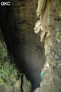 Dans le puits d'entrée de la grotte-perte de Laoyingdong 老鹰洞 (Suiyang 绥阳, Zunyi 遵义市, Guizhou 贵州省, Chine 中国).