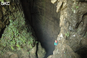 Dans le puits d'entrée de la grotte-perte de Laoyingdong 老鹰洞 (Suiyang 绥阳, Zunyi 遵义市, Guizhou 贵州省, Chine 中国).