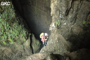 Dans le puits d'entrée de la grotte-perte de Laoyingdong 老鹰洞 (Suiyang 绥阳, Zunyi 遵义市, Guizhou 贵州省, Chine 中国).