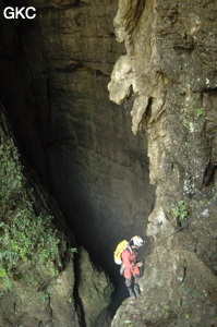 Dans le puits d'entrée de la grotte-perte de Laoyingdong 老鹰洞 (Suiyang 绥阳, Zunyi 遵义市, Guizhou 贵州省, Chine 中国).