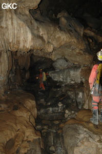 Grotte de Laoyingdong 老鹰洞 (Suiyang 绥阳, Zunyi 遵义市, Guizhou 贵州省, Chine 中国).