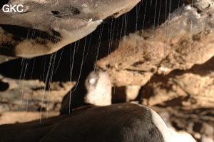 Grotte de Laoyingdong 老鹰洞 (Suiyang 绥阳, Zunyi 遵义市, Guizhou 贵州省, Chine 中国).