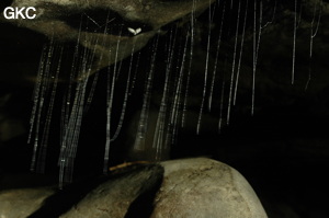 Grotte de Laoyingdong 老鹰洞 (Suiyang 绥阳, Zunyi 遵义市, Guizhou 贵州省, Chine 中国).