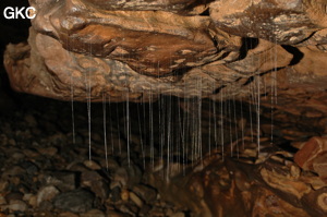 Grotte de Laoyingdong 老鹰洞 (Suiyang 绥阳, Zunyi 遵义市, Guizhou 贵州省, Chine 中国).