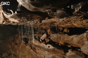 Grotte de Laoyingdong 老鹰洞 (Suiyang 绥阳, Zunyi 遵义市, Guizhou 贵州省, Chine 中国).