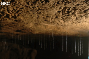 Grotte de Laoyingdong 老鹰洞 (Suiyang 绥阳, Zunyi 遵义市, Guizhou 贵州省, Chine 中国).