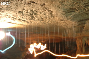 Grotte de Laoyingdong 老鹰洞 (Suiyang 绥阳, Zunyi 遵义市, Guizhou 贵州省, Chine 中国).