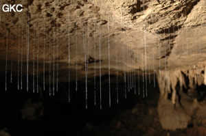 Grotte de Laoyingdong 老鹰洞 (Suiyang 绥阳, Zunyi 遵义市, Guizhou 贵州省, Chine 中国).