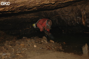 Grotte de Laoyingdong 老鹰洞 (Suiyang 绥阳, Zunyi 遵义市, Guizhou 贵州省, Chine 中国).