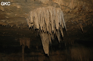 Grotte de Laoyingdong 老鹰洞 (Suiyang 绥阳, Zunyi 遵义市, Guizhou 贵州省, Chine 中国).