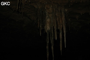 Grotte de Laoyingdong 老鹰洞 (Suiyang 绥阳, Zunyi 遵义市, Guizhou 贵州省, Chine 中国).