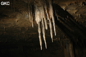 Grotte de Laoyingdong 老鹰洞 (Suiyang 绥阳, Zunyi 遵义市, Guizhou 贵州省, Chine 中国).