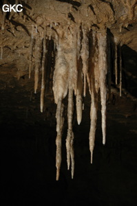 Grotte de Laoyingdong 老鹰洞 (Suiyang 绥阳, Zunyi 遵义市, Guizhou 贵州省, Chine 中国).