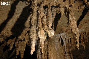 Grotte de Laoyingdong 老鹰洞 (Suiyang 绥阳, Zunyi 遵义市, Guizhou 贵州省, Chine 中国).