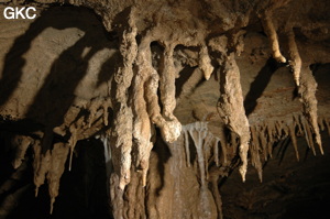 Grotte de Laoyingdong 老鹰洞 (Suiyang 绥阳, Zunyi 遵义市, Guizhou 贵州省, Chine 中国).