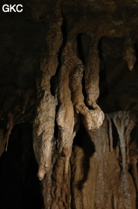 Grotte de Laoyingdong 老鹰洞 (Suiyang 绥阳, Zunyi 遵义市, Guizhou 贵州省, Chine 中国).