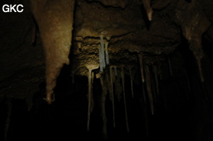 Grotte de Laoyingdong 老鹰洞 (Suiyang 绥阳, Zunyi 遵义市, Guizhou 贵州省, Chine 中国).