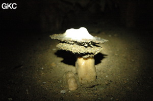 Grotte de Laoyingdong 老鹰洞 (Suiyang 绥阳, Zunyi 遵义市, Guizhou 贵州省, Chine 中国).