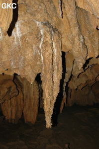 Grotte de Laoyingdong 老鹰洞 (Suiyang 绥阳, Zunyi 遵义市, Guizhou 贵州省, Chine 中国).