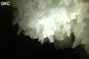 Grotte de Pixiaodong 皮硝洞 - réseau de Shuanghedong 双河洞 - (Wenquan, Suiyang 绥阳, Zunyi 遵义市, Guizhou 贵州省, Chine 中国).