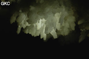 Grotte de Pixiaodong 皮硝洞 - réseau de Shuanghedong 双河洞 - (Wenquan, Suiyang 绥阳, Zunyi 遵义市, Guizhou 贵州省, Chine 中国).