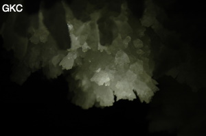 Grotte de Pixiaodong 皮硝洞 - réseau de Shuanghedong 双河洞 - (Wenquan, Suiyang 绥阳, Zunyi 遵义市, Guizhou 贵州省, Chine 中国).