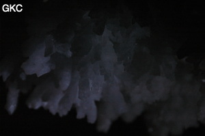 Grotte de Pixiaodong 皮硝洞 - réseau de Shuanghedong 双河洞 - (Wenquan, Suiyang 绥阳, Zunyi 遵义市, Guizhou 贵州省, Chine 中国).