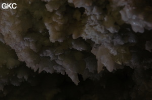 Grotte de Pixiaodong 皮硝洞 - réseau de Shuanghedong 双河洞 - (Wenquan, Suiyang 绥阳, Zunyi 遵义市, Guizhou 贵州省, Chine 中国).