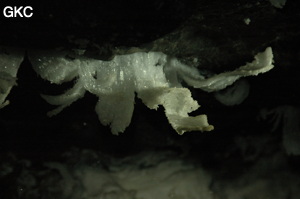 Grotte de Pixiaodong 皮硝洞 - réseau de Shuanghedong 双河洞 - (Wenquan, Suiyang 绥阳, Zunyi 遵义市, Guizhou 贵州省, Chine 中国).