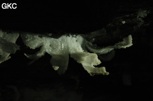 Grotte de Pixiaodong 皮硝洞 - réseau de Shuanghedong 双河洞 - (Wenquan, Suiyang 绥阳, Zunyi 遵义市, Guizhou 贵州省, Chine 中国).