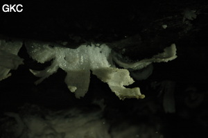 Grotte de Pixiaodong 皮硝洞 - réseau de Shuanghedong 双河洞 - (Wenquan, Suiyang 绥阳, Zunyi 遵义市, Guizhou 贵州省, Chine 中国).
