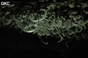 Grotte de Pixiaodong 皮硝洞 - réseau de Shuanghedong 双河洞 - (Wenquan, Suiyang 绥阳, Zunyi 遵义市, Guizhou 贵州省, Chine 中国).