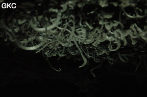 Grotte de Pixiaodong 皮硝洞 - réseau de Shuanghedong 双河洞 - (Wenquan, Suiyang 绥阳, Zunyi 遵义市, Guizhou 贵州省, Chine 中国).