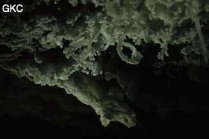 Grotte de Pixiaodong 皮硝洞 - réseau de Shuanghedong 双河洞 - (Wenquan, Suiyang 绥阳, Zunyi 遵义市, Guizhou 贵州省, Chine 中国).