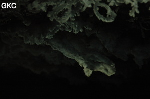 Grotte de Pixiaodong 皮硝洞 - réseau de Shuanghedong 双河洞 - (Wenquan, Suiyang 绥阳, Zunyi 遵义市, Guizhou 贵州省, Chine 中国).