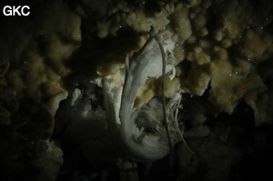 Grotte de Pixiaodong 皮硝洞 - réseau de Shuanghedong 双河洞 - (Wenquan, Suiyang 绥阳, Zunyi 遵义市, Guizhou 贵州省, Chine 中国).