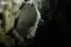 Grotte de Pixiaodong 皮硝洞 - réseau de Shuanghedong 双河洞 - (Wenquan, Suiyang 绥阳, Zunyi 遵义市, Guizhou 贵州省, Chine 中国).