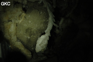 Grotte de Pixiaodong 皮硝洞 - réseau de Shuanghedong 双河洞 - (Wenquan, Suiyang 绥阳, Zunyi 遵义市, Guizhou 贵州省, Chine 中国).