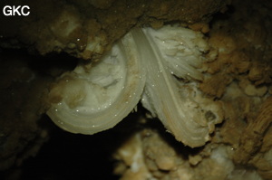Grotte de Pixiaodong 皮硝洞 - réseau de Shuanghedong 双河洞 - (Wenquan, Suiyang 绥阳, Zunyi 遵义市, Guizhou 贵州省, Chine 中国).