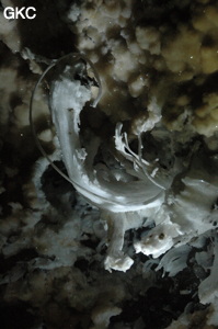Grotte de Pixiaodong 皮硝洞 - réseau de Shuanghedong 双河洞 - (Wenquan, Suiyang 绥阳, Zunyi 遵义市, Guizhou 贵州省, Chine 中国).