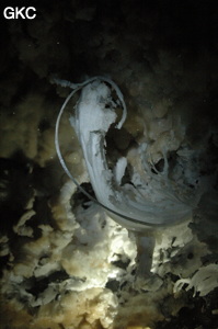 Grotte de Pixiaodong 皮硝洞 - réseau de Shuanghedong 双河洞 - (Wenquan, Suiyang 绥阳, Zunyi 遵义市, Guizhou 贵州省, Chine 中国).
